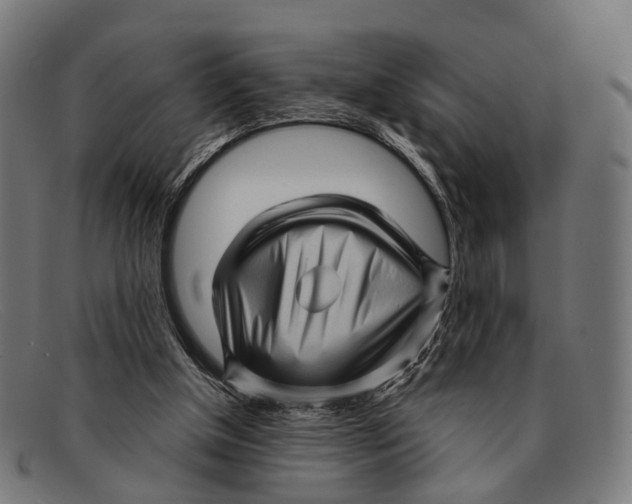 X0000091480154200709131818