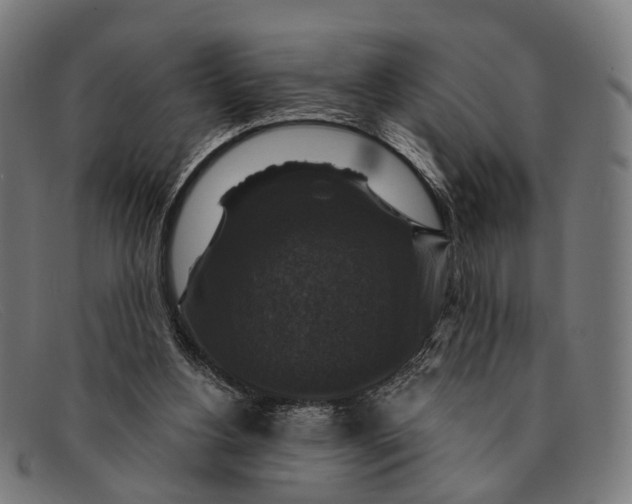 X0000091480156200709131818