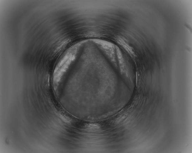 X0000091480157200709131818