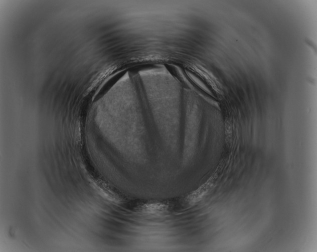 X0000091480158200709131818