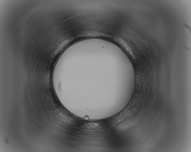 X0000091480159200709131818