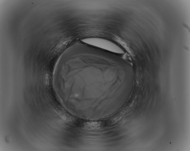 X0000091480161200709131818