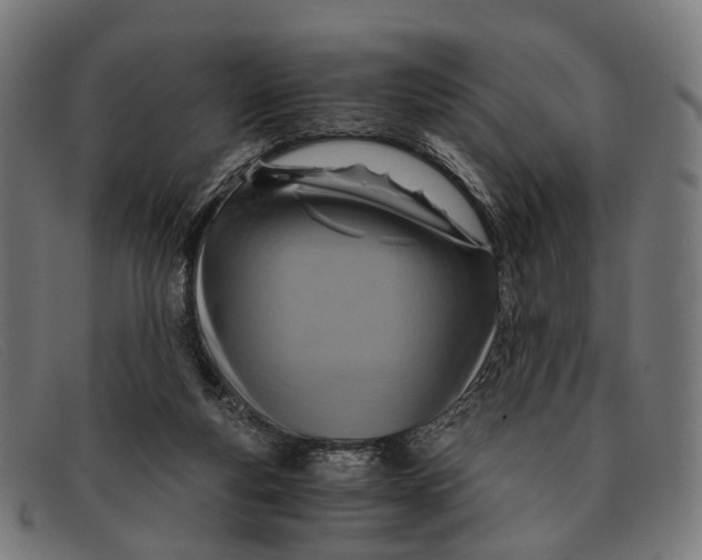 X0000091480163200709131818