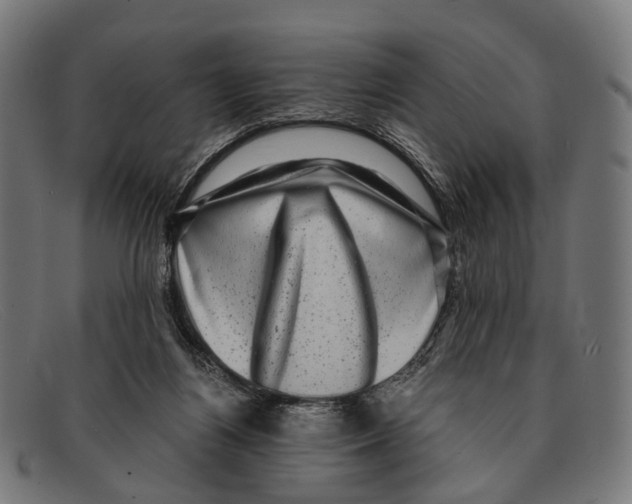 X0000091480164200709131818