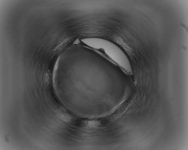 X0000091480165200709131818