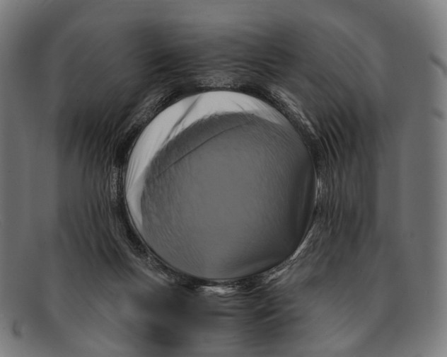 X0000091480167200709131818