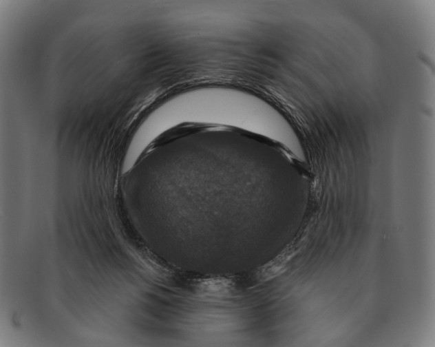 X0000091480168200709131818