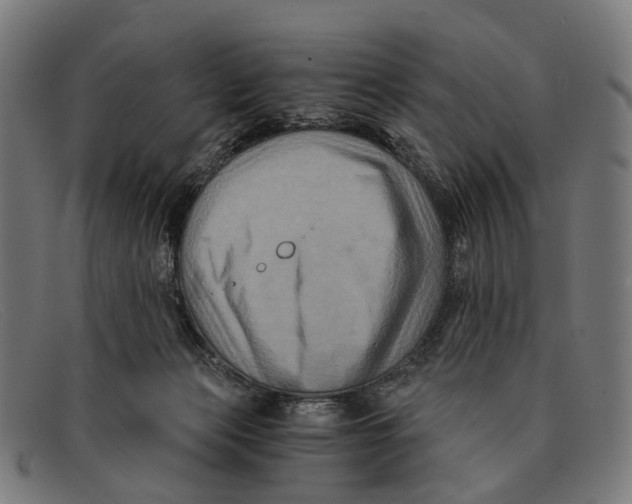 X0000091480173200709131818