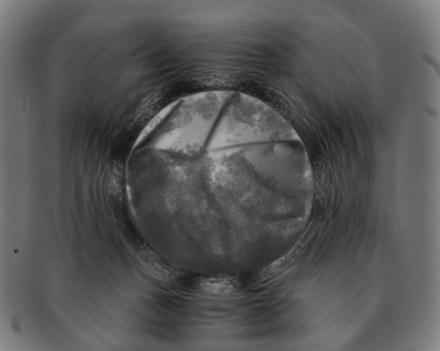 X0000091480175200709131818