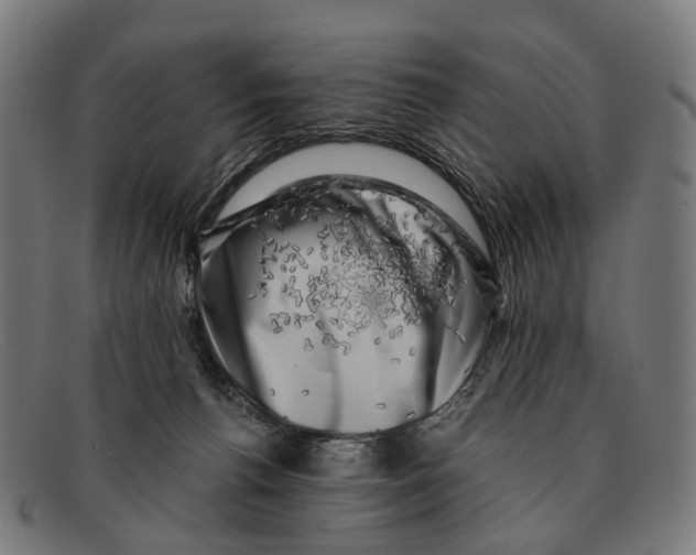 X0000091480176200709131818