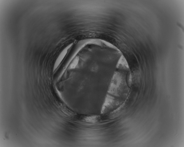 X0000091480178200709131818