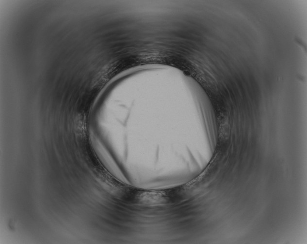 X0000091480179200709131818