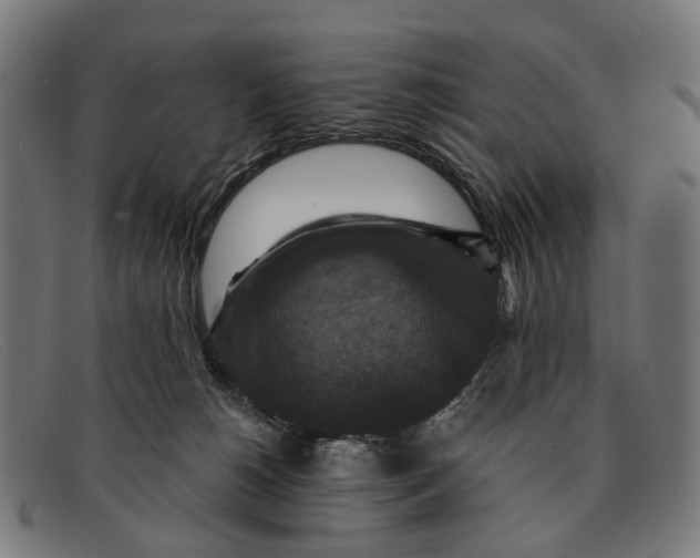 X0000091480180200709131818