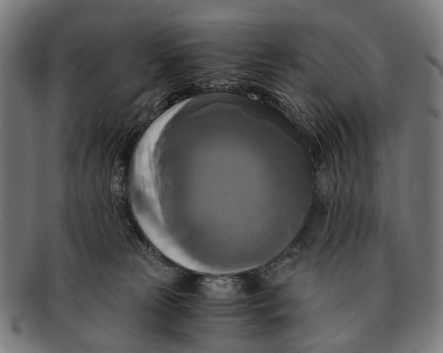 X0000091480181200709131818