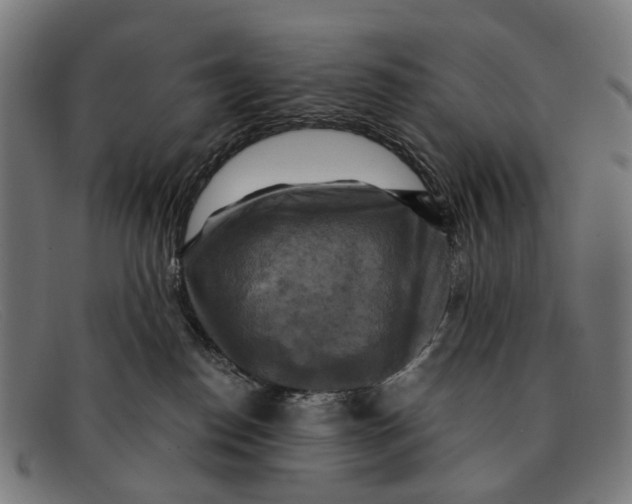 X0000091480186200709131819