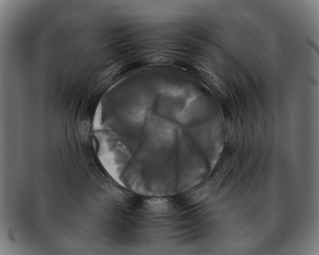 X0000091480189200709131819