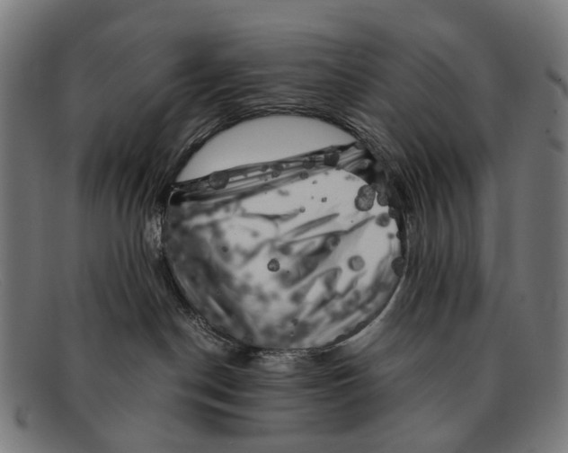 X0000091480190200709131819