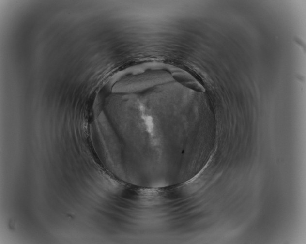 X0000091480192200709131819