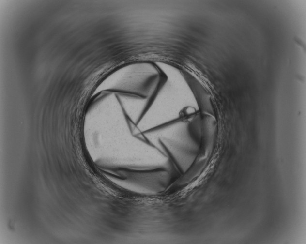 X0000091480193200709131818