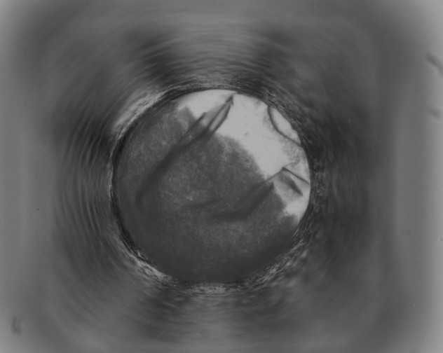 X0000091480194200709131818