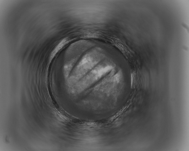 X0000091480195200709131818