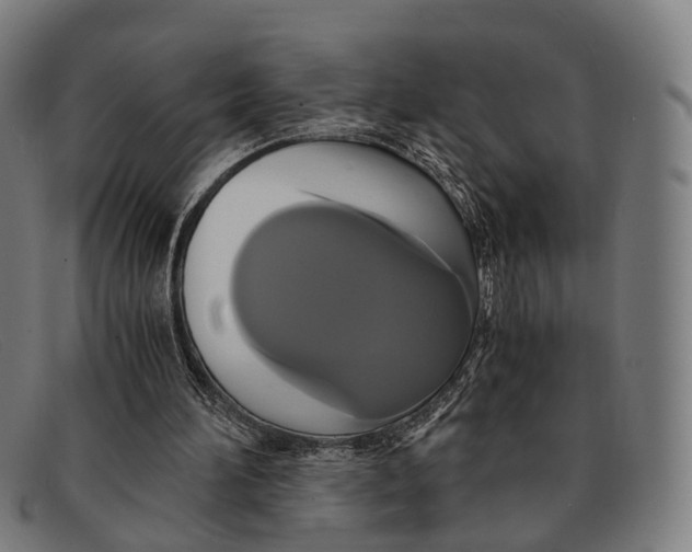 X0000091480196200709131818