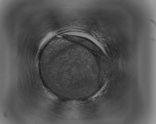 X0000091480197200709131818