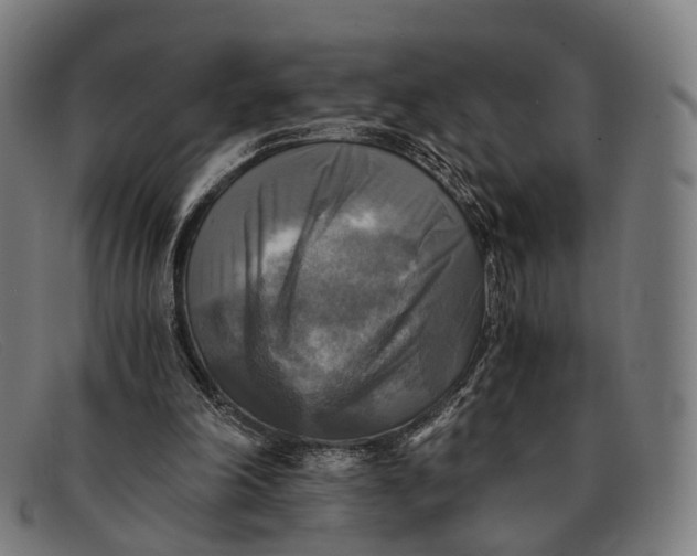 X0000091480198200709131818