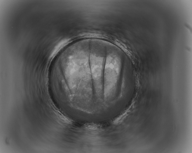 X0000091480199200709131818