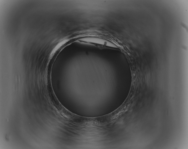 X0000091480200200709131818