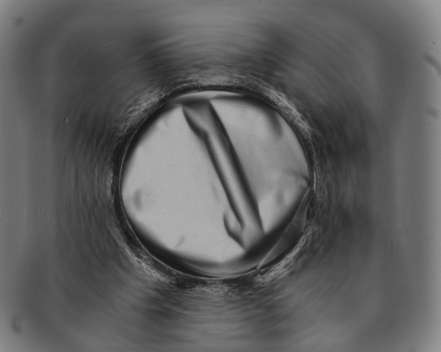 X0000091480201200709131818