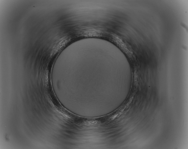 X0000091480202200709131818