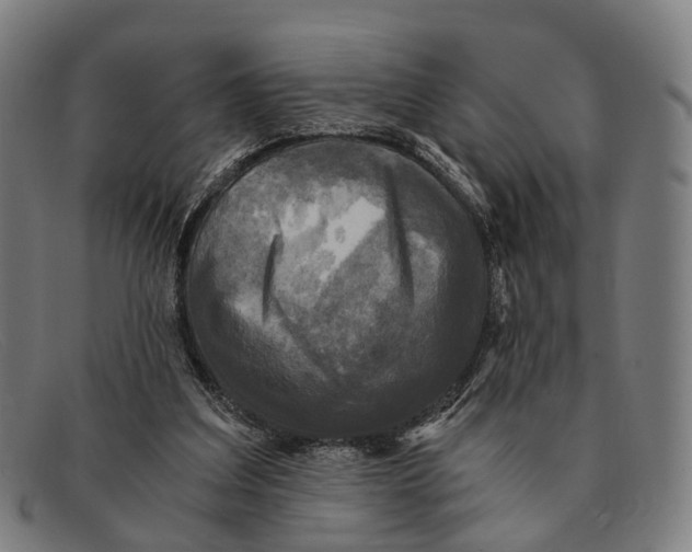 X0000091480203200709131818