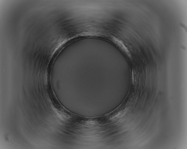 X0000091480204200709131818