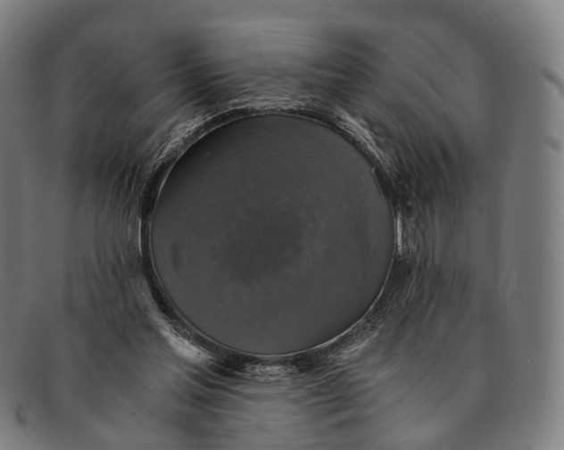 X0000091480205200709131818