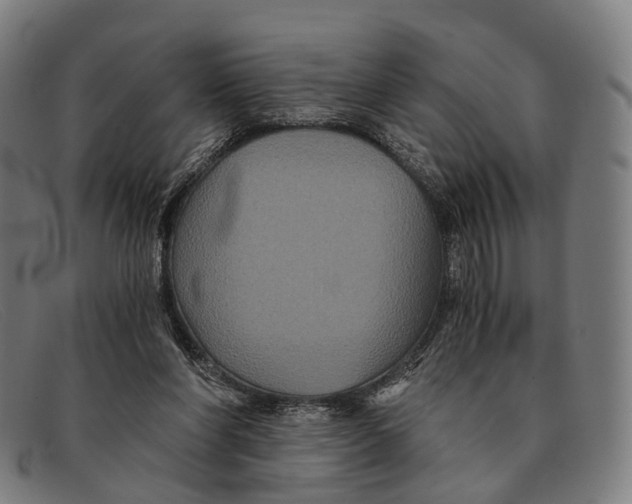 X0000091480206200709131818