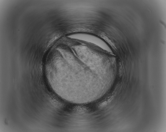 X0000091480207200709131818