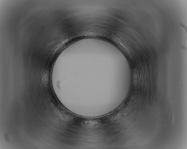 X0000091480208200709131818