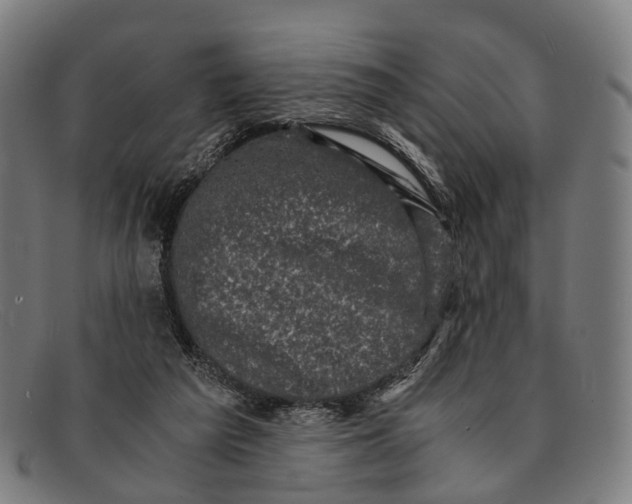 X0000091480209200709131818