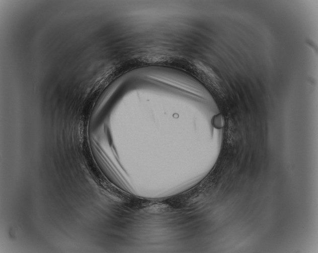 X0000091480210200709131818