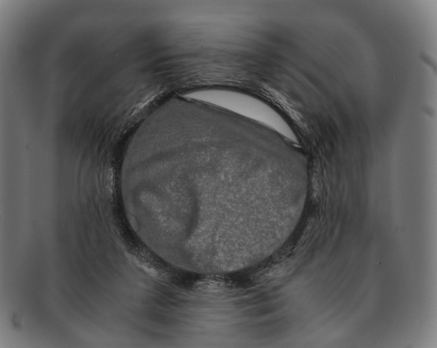 X0000091480211200709131818