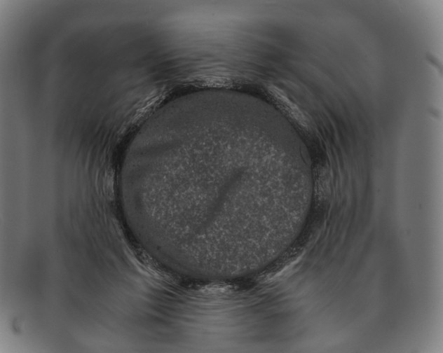 X0000091480213200709131818