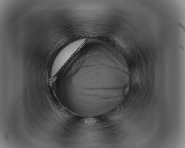 X0000091480214200709131818