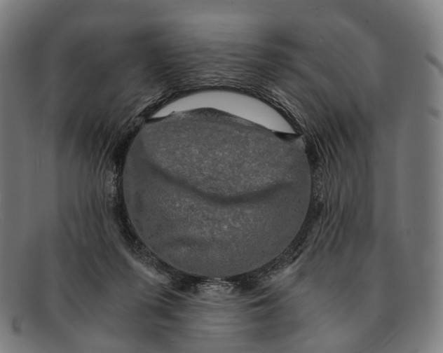 X0000091480215200709131818