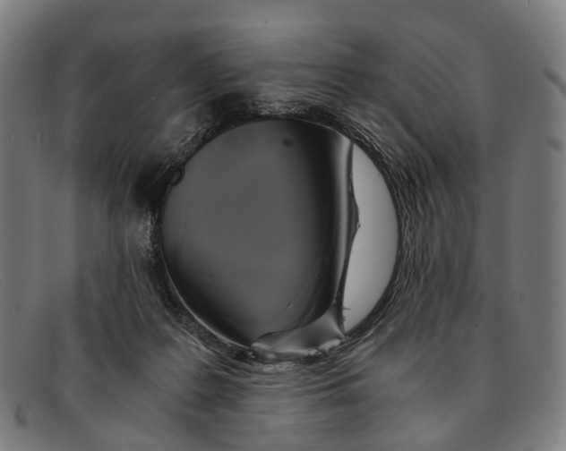 X0000091480219200709131818