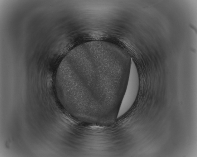 X0000091480221200709131818