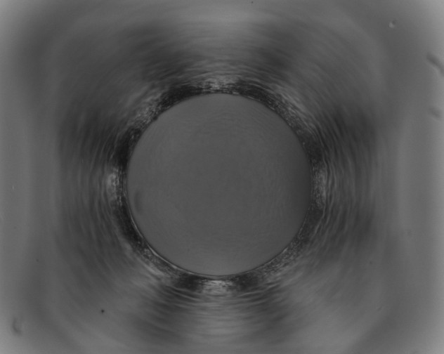 X0000091480222200709131818