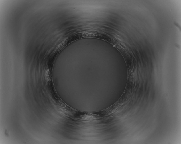 X0000091480224200709131817