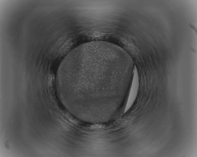 X0000091480225200709131817