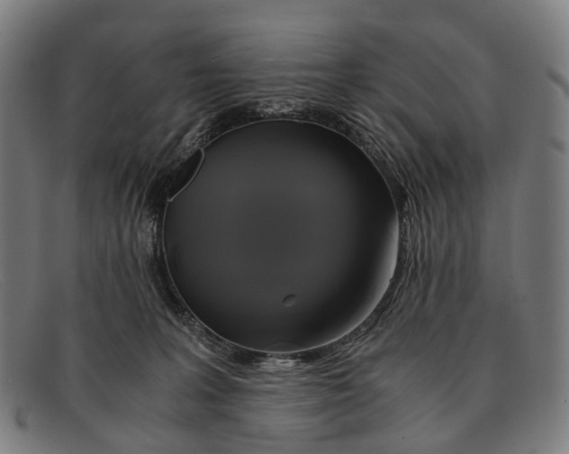 X0000091480227200709131817